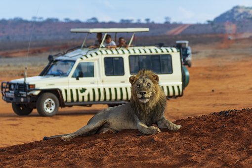 Kenya and Tanzania luxury safari packages